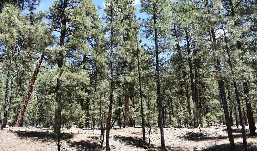 80 Ranch Rd, Bayfield, CO 81122 - 0 Beds, 0 Bath