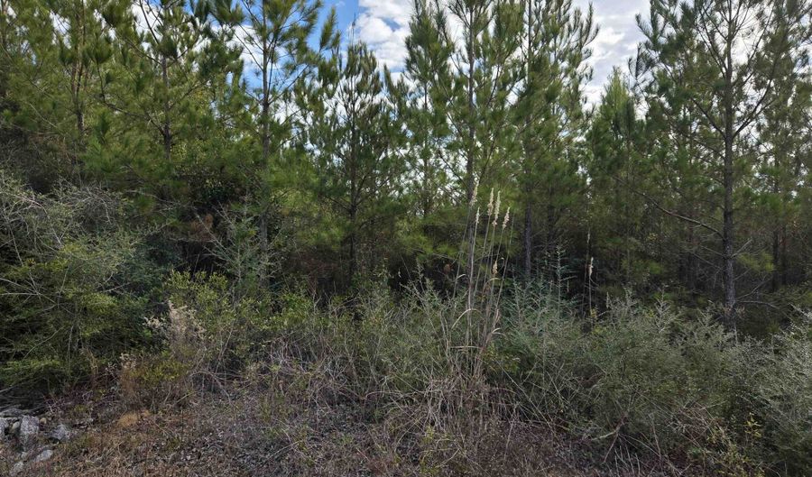 NW Church Road, Altha, FL 32421 - 0 Beds, 0 Bath