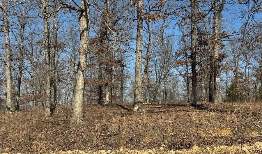 Hidden Valley Lakes lot Ee & Ee S, Annapolis, MO 63620 - 0 Beds, 0 Bath