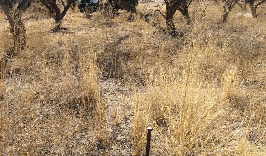 16771 W Arivaca Rd 194, Arivaca, AZ 85601 - 0 Beds, 0 Bath
