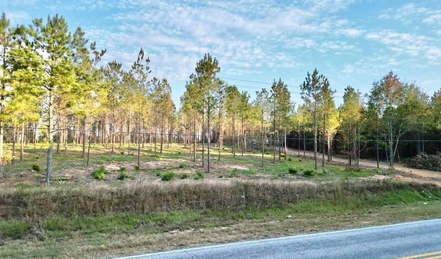 3 AL SR 223, Banks, AL 36005 - 0 Beds, 0 Bath