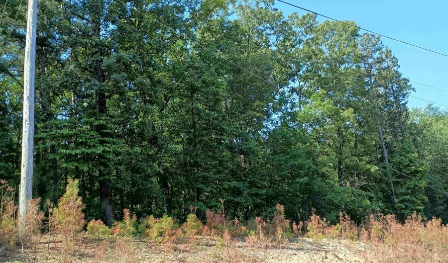 1 Arledge Dr, Attalla, AL 35954 - 0 Beds, 0 Bath