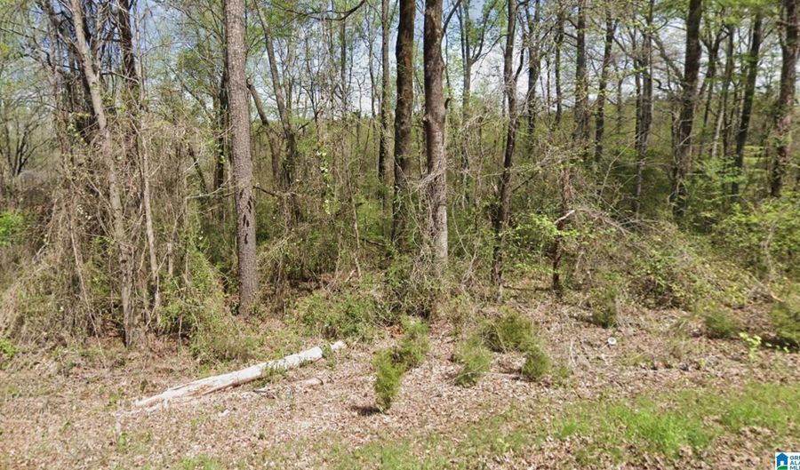 317 HILLTOP Rd, Adamsville, AL 35005 - 0 Beds, 0 Bath