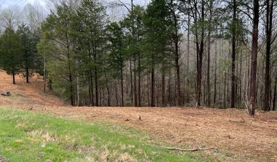 Lot 1 Willow Grove Hwy, Allons, TN 38541 - 0 Beds, 0 Bath