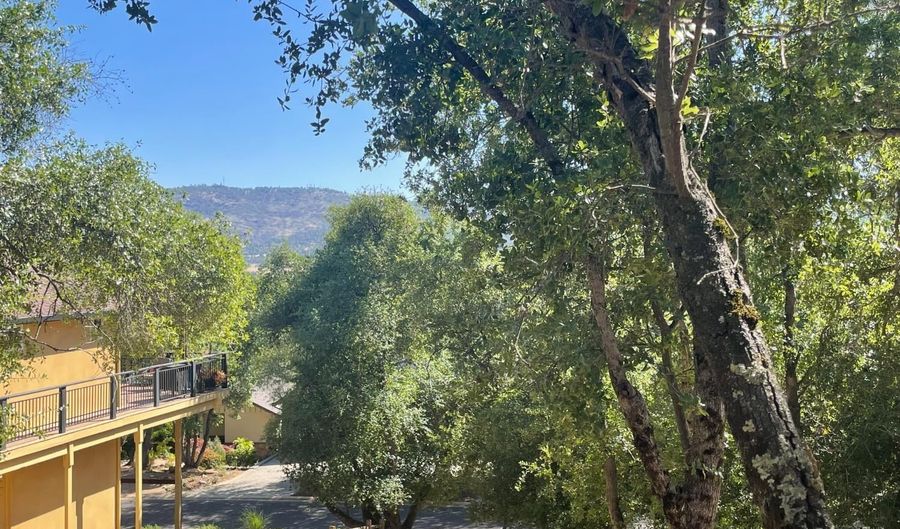 295 Mary Belle Way, Angels Camp, CA 95222 - 0 Beds, 0 Bath