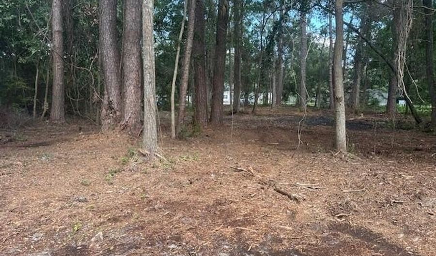 9 Horton Trl, Beaufort, SC 29906 - 0 Beds, 0 Bath