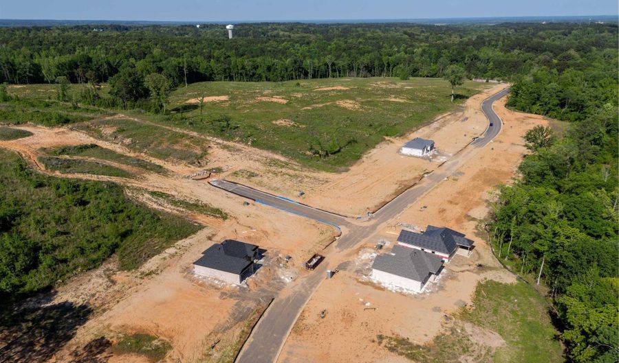 Badger Way, Arkadelphia, AR 71923 - 0 Beds, 0 Bath
