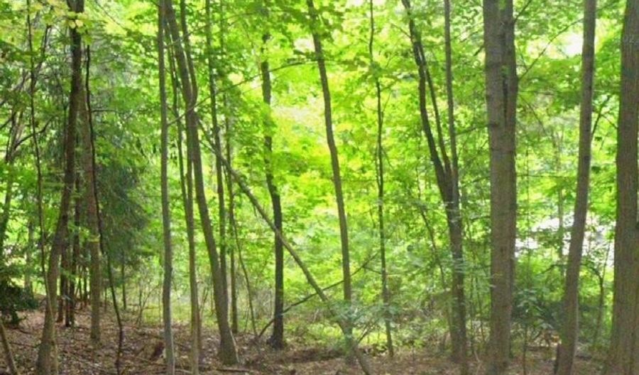 L51 The Mall, Amsterdam, NY 12010 - 0 Beds, 0 Bath