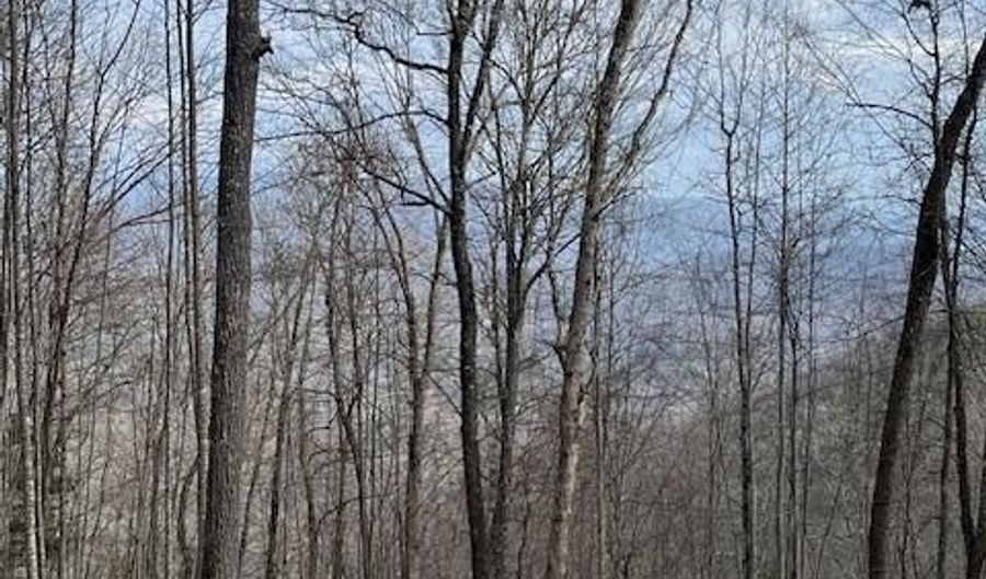 Fontana Trace Drive lot 82, Almond, NC 28702 - 0 Beds, 0 Bath