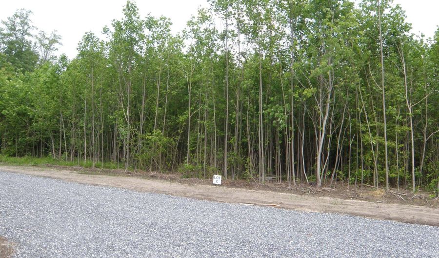 EASEMENT OFF OF SHORTLY RD lot C - 133-9.00-9.18, Georgetown, DE 19947 - 0 Beds, 0 Bath