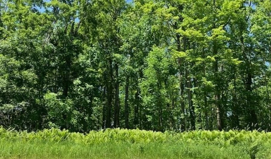 TBD MAPLE ISLE COURT UNIT 33, Alanson, MI 49706 - 0 Beds, 0 Bath