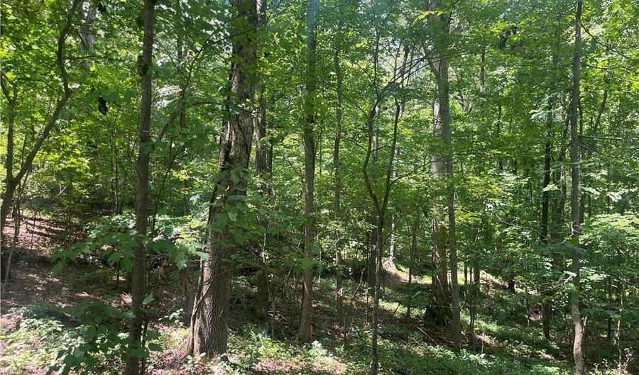 2049 Henry Scott Rd-LOT C 2.3 Acres, Ball Ground, GA 30107 - 0 Beds, 0 Bath