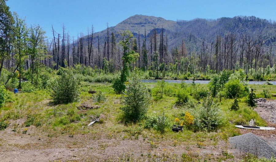 52958 MCKENZIE Hwy, Blue River, OR 97413 - 0 Beds, 0 Bath