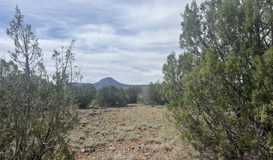 51 W Boiling Pot Rd, Ash Fork, AZ 86320 - 0 Beds, 0 Bath