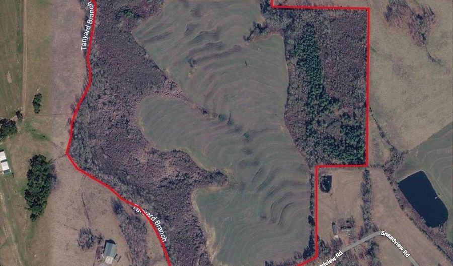 435 Sneadview Rd, Altoona, AL 35952 - 0 Beds, 0 Bath