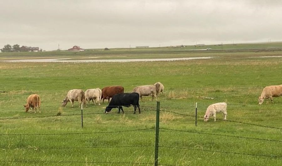 7069 Mainwaring Rd, Billings, MT 59002 - 3 Beds, 2 Bath