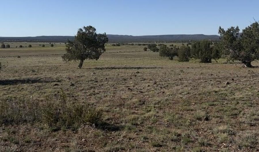 Juniperwood Ranch lot 52, Ash Fork, AZ 86320 - 0 Beds, 0 Bath