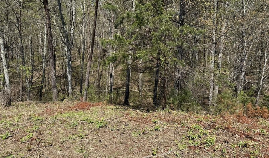475 Bayside Blvd, Bean Station, TN 37708 - 0 Beds, 0 Bath