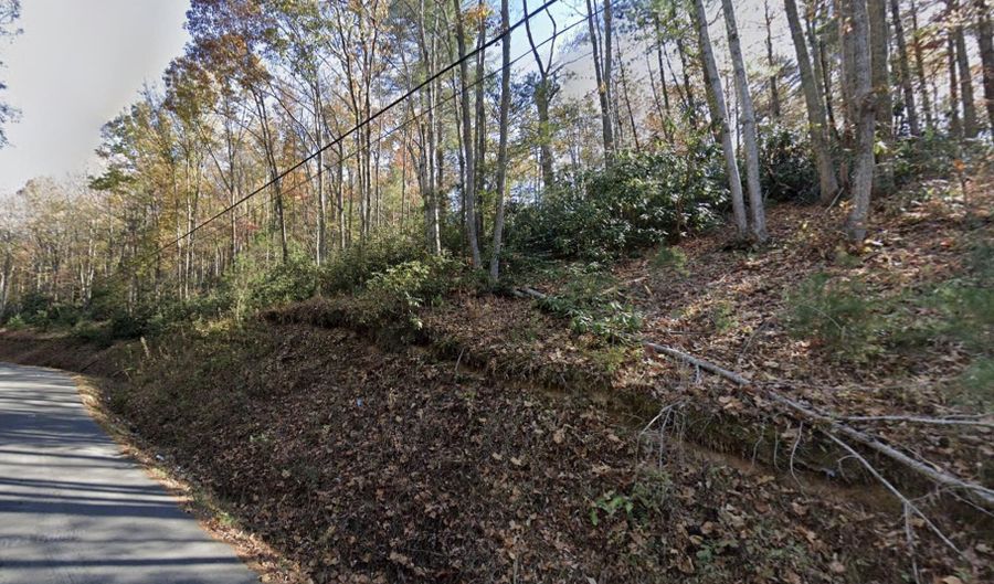 100 Bill Martin Rd, Afton, TN 37616 - 0 Beds, 0 Bath