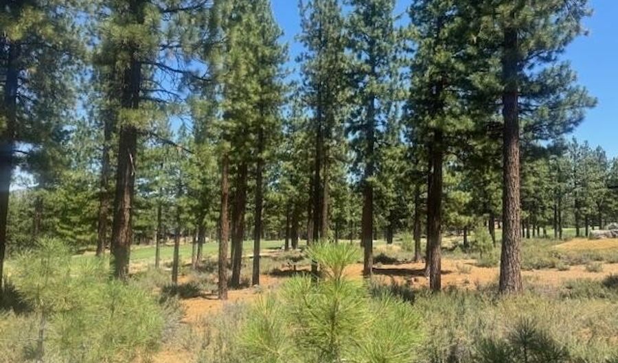 184 Redding Way 261, Carson City, NV 89705 - 0 Beds, 0 Bath