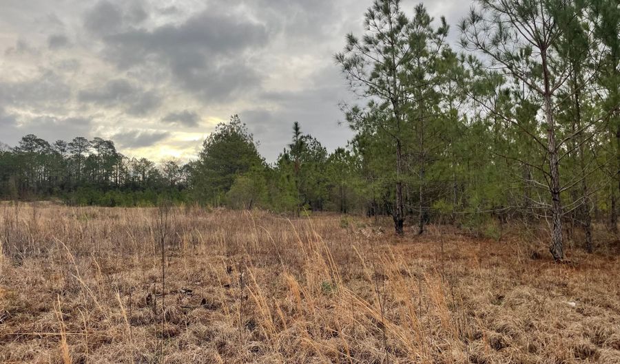 Lot 8 Sumrall Rd, Columbia, MS 39429 - 0 Beds, 0 Bath