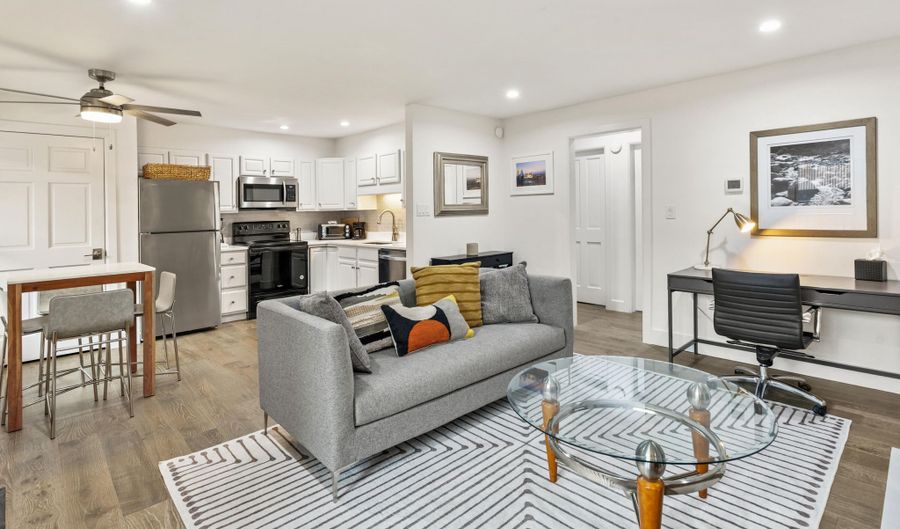 1020 E Durant Ave 203, Aspen, CO 81611 - 2 Beds, 2 Bath