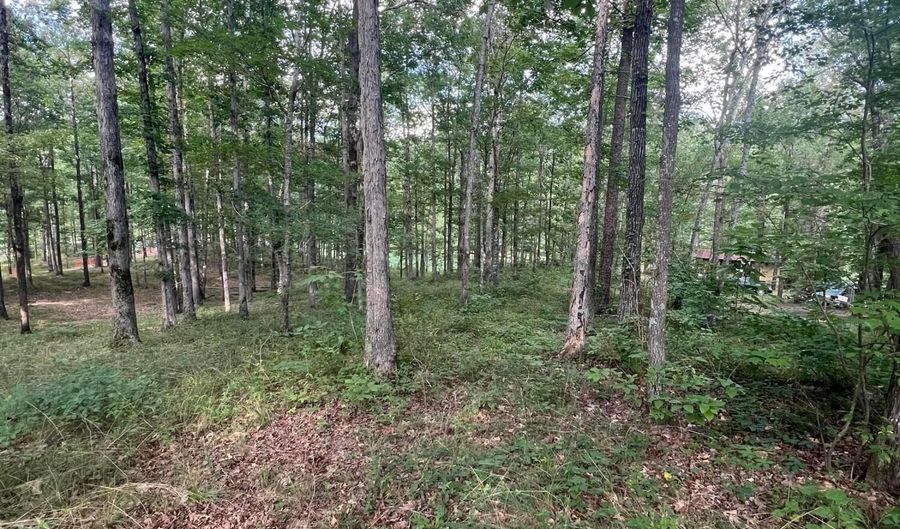 LOT 1 WINDING CREEK LANE Ln, Arley, AL 35541 - 0 Beds, 0 Bath