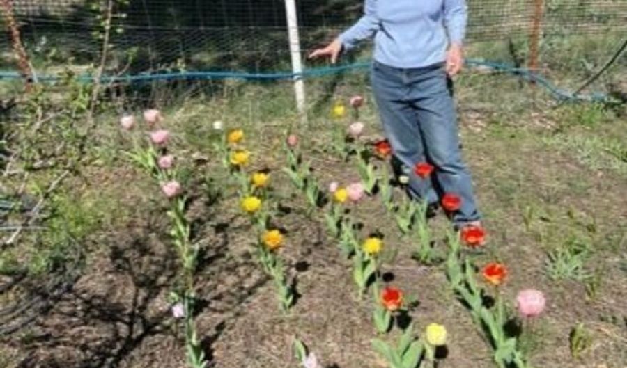 1724 Warner Mountain Rd PO Box, Alturas, CA 96101 - 2 Beds, 2 Bath