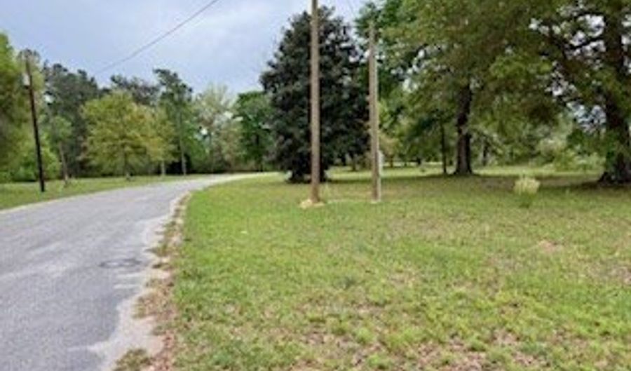 12454 FOP LODGE Rd, Andalusia, AL 36421 - 0 Beds, 0 Bath