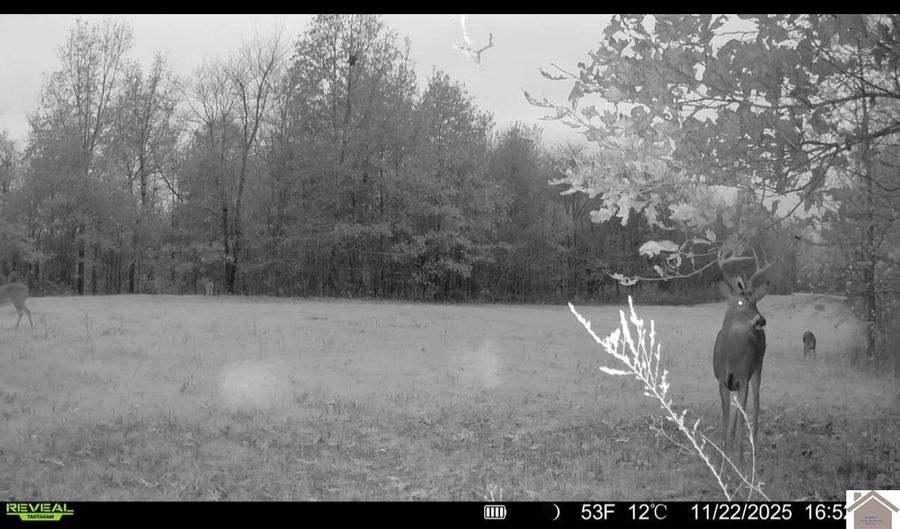 115 County Road 1039, Bardwell, KY 42023 - 0 Beds, 0 Bath