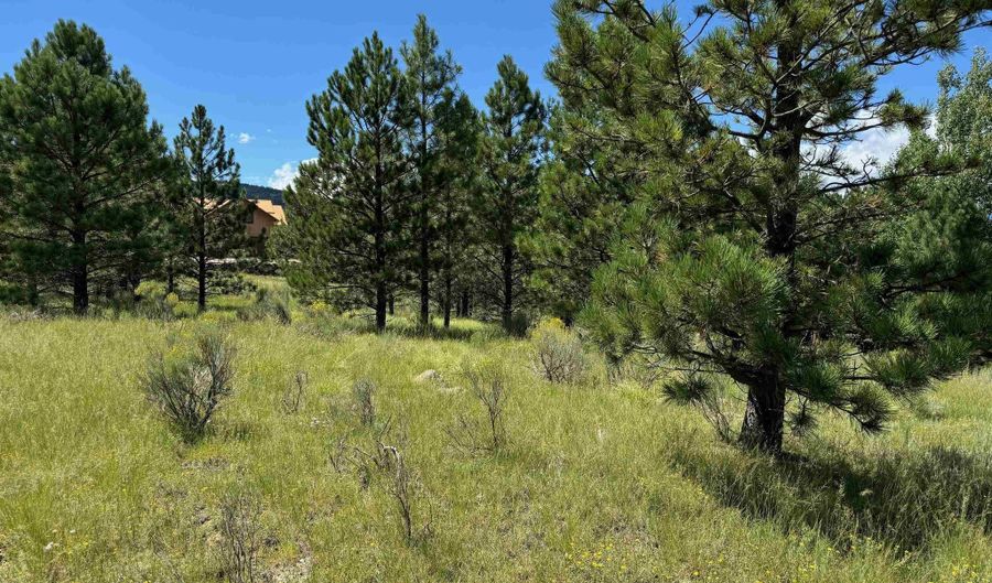 Lot 459 San Mateo, Angel Fire, NM 87710 - 0 Beds, 0 Bath