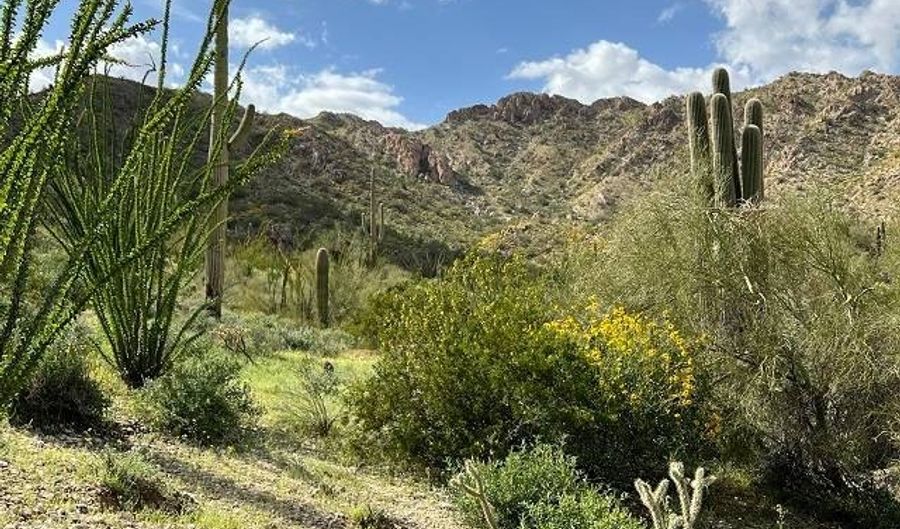 240 S Alley Rd, Ajo, AZ 85321 - 0 Beds, 0 Bath