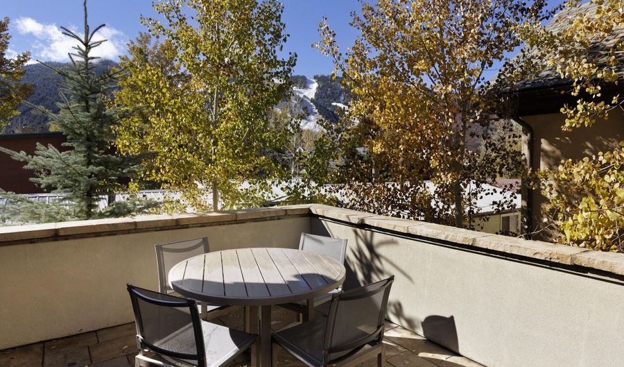 566 Race St, Aspen, CO 81611 - 4 Beds, 5 Bath