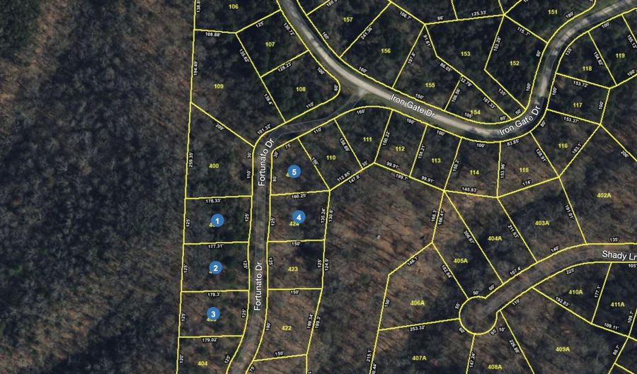 5 Lots Fortunato Dr, Baneberry, TN 37890 - 0 Beds, 0 Bath