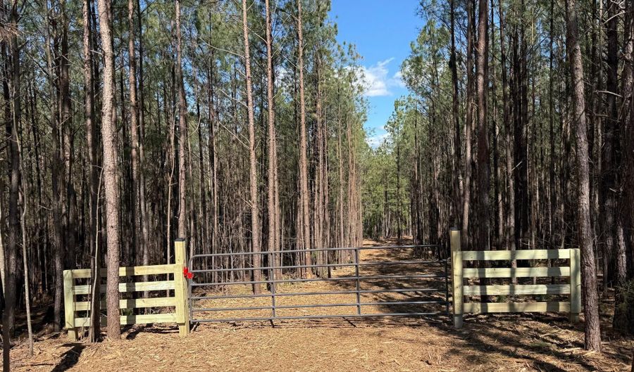 MOUNTAIN CUT RD lot C, Appomattox, VA 24522 - 0 Beds, 0 Bath