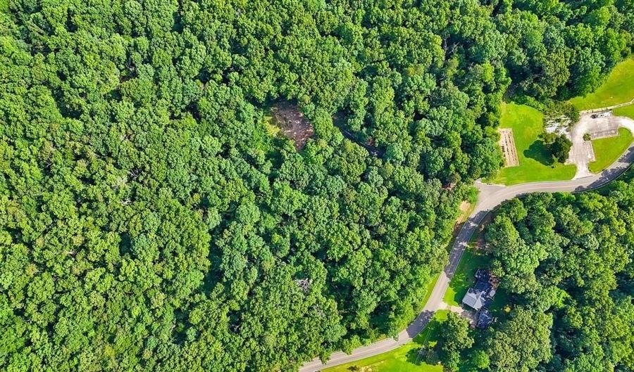 173 Hogan Pond Ln, Ball Ground, GA 30107 - 0 Beds, 0 Bath