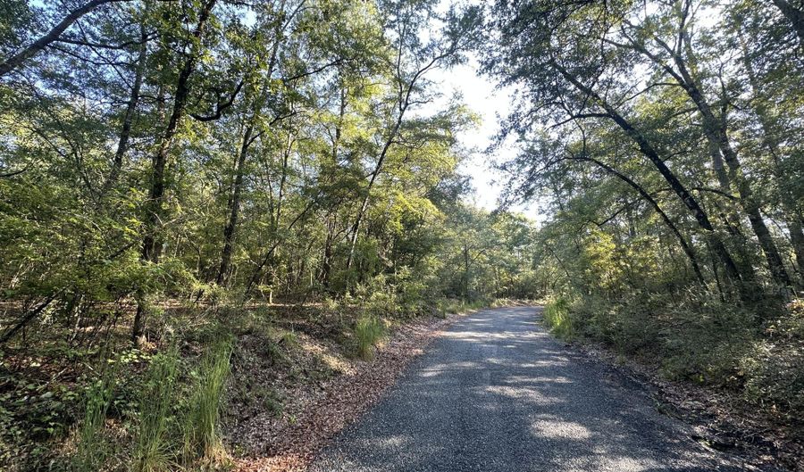 Parcel B Carroll Drive, Baker, FL 32531 - 0 Beds, 0 Bath