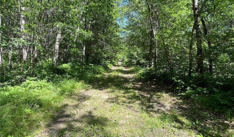 951 Swede Lake Trl SW, Backus, MN 56435 - 3 Beds, 1 Bath