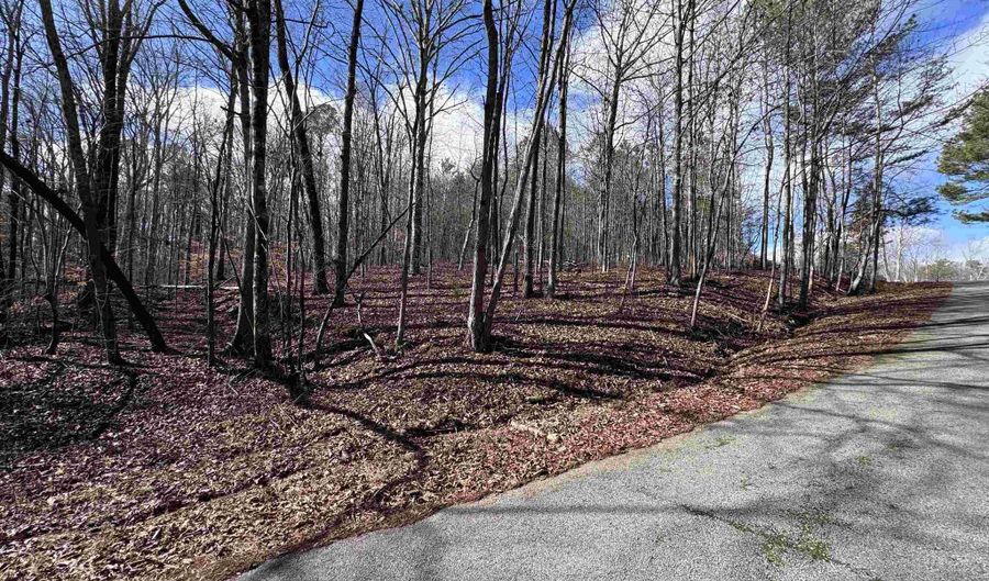 3 9 Acres Rainbow Dr, Double Springs, AL 35553 - 0 Beds, 0 Bath