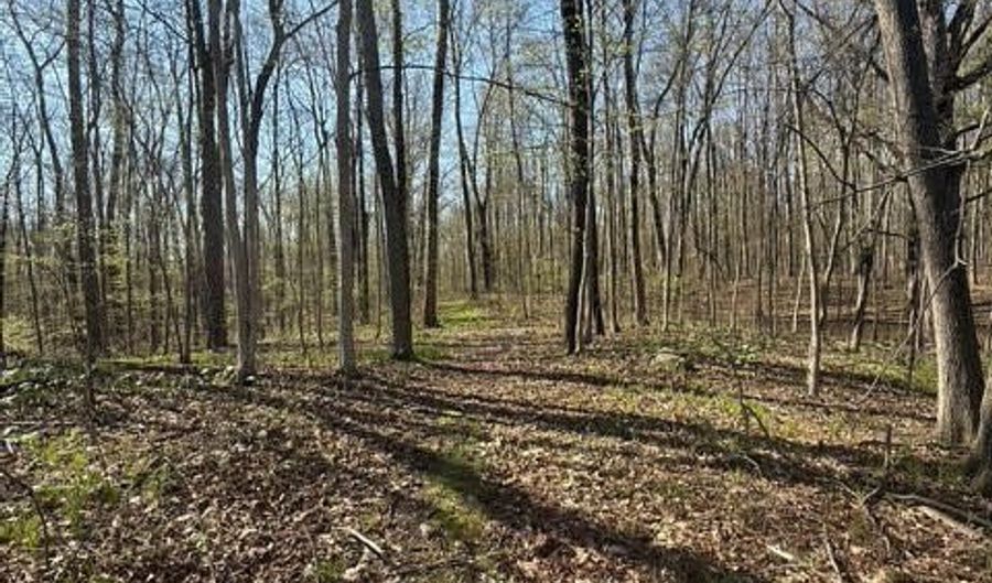 27 Mile Rd, Albion, MI 49224 - 0 Beds, 0 Bath