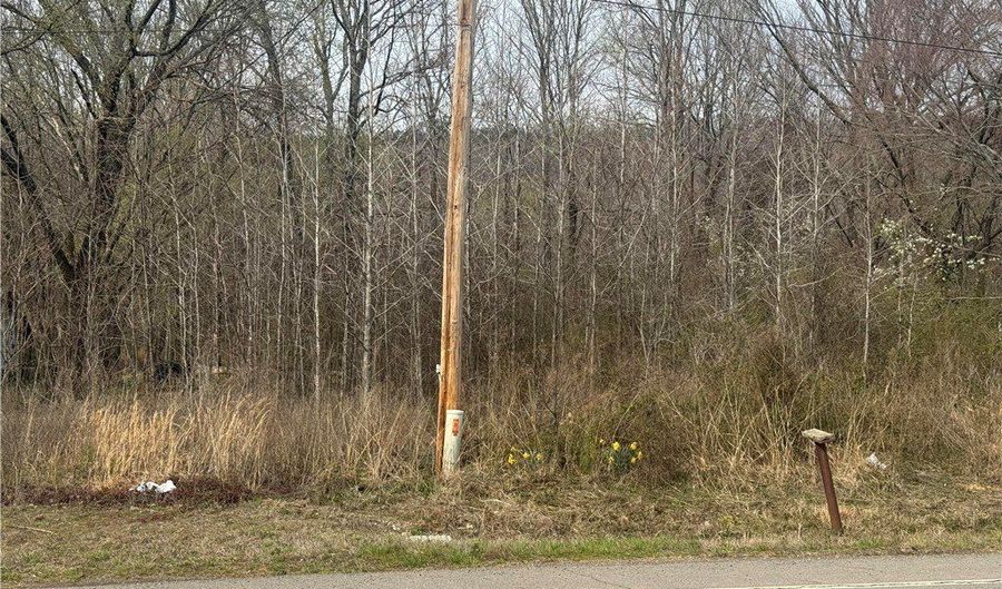 Hwy 64 E lot 0, Atkins, AR 72823 - 0 Beds, 0 Bath