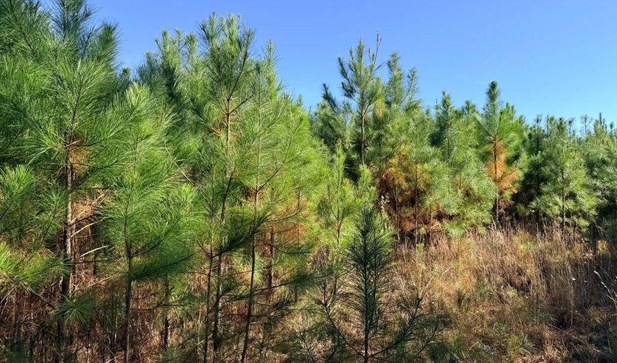 TBD US HWY 431, Abbeville, AL 36310 - 0 Beds, 0 Bath