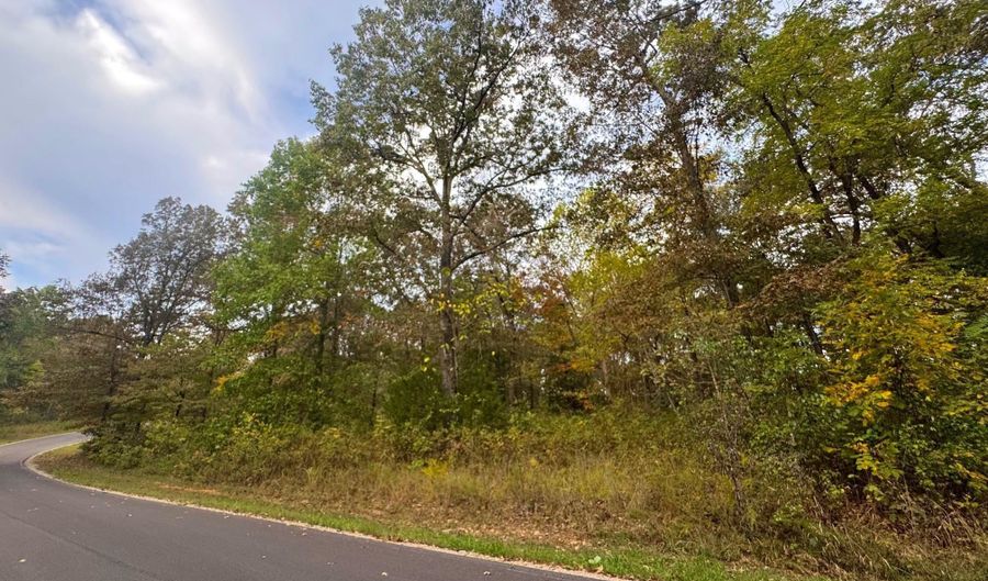 Goodwin Cove lot 29, Ash Flat, AR 72513 - 0 Beds, 0 Bath