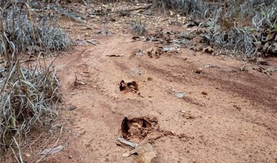 Tract 4 Acme RD, Asher, OK 74826 - 0 Beds, 0 Bath