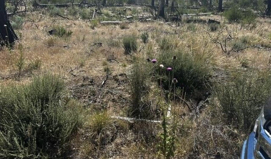 Wren Drive lot 6, Bonanza, OR 97623 - 0 Beds, 0 Bath