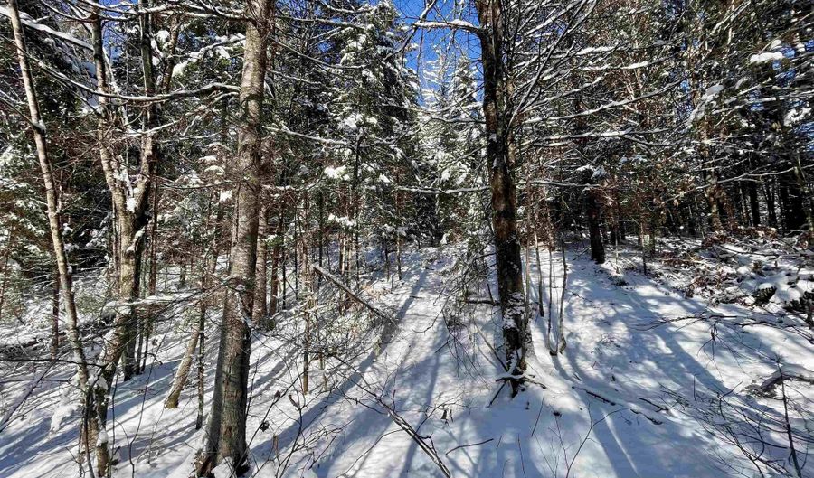 00 Marshall Newland Rd, Burke, VT 05832 - 0 Beds, 0 Bath