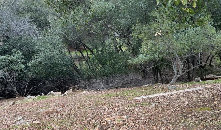 745 Grinding Rock, Angels Camp, CA 95222 - 0 Beds, 0 Bath