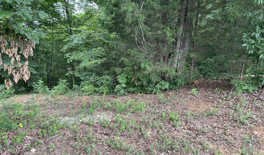 Megans Trail, Bean Station, TN 37708 - 0 Beds, 0 Bath