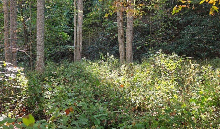 2 Lords Way, Andrews, NC 28901 - 0 Beds, 0 Bath