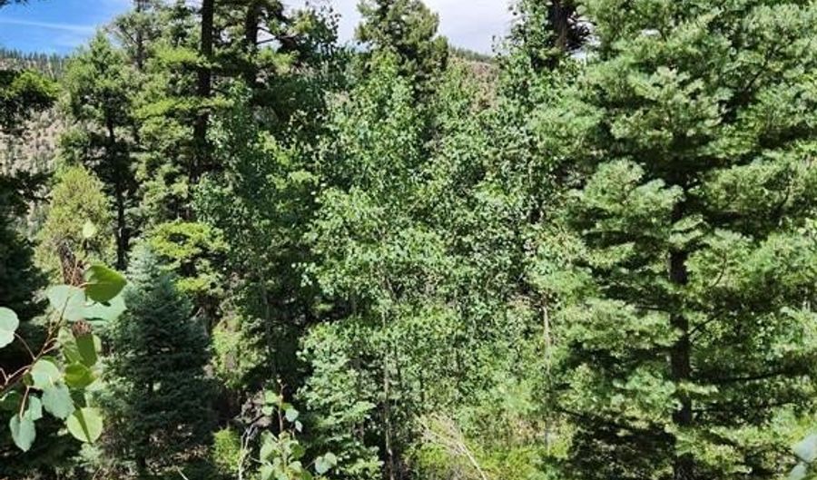 1506 Clarke Mountain Ln, Antonito, CO 81120 - 0 Beds, 0 Bath